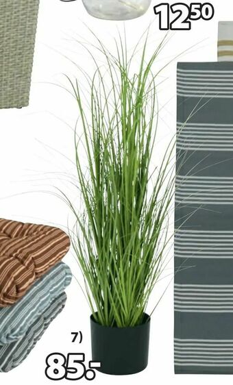 JYSK Roślina sztuczna markusflue oferta