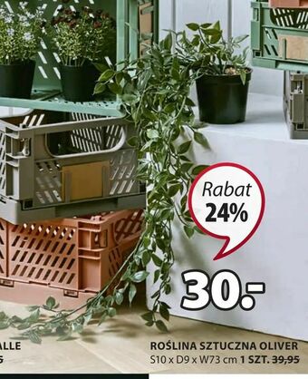 JYSK Roślina sztuczna oliver oferta