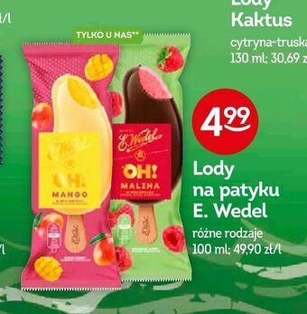 Żabka Lody na patyku E. Wedel oferta