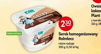 Żabka Serek homogenizowany Rolmlecz oferta