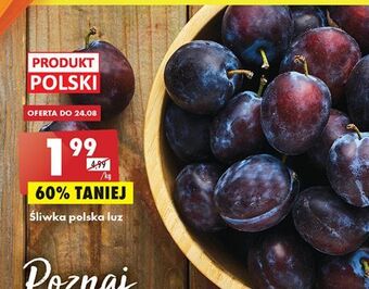 Biedronka Śliwki oferta