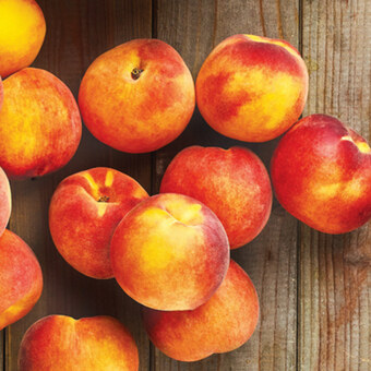 Biedronka Brzoskwinia oferta