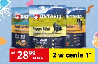 Kakadu Karma dla psa ontario oferta