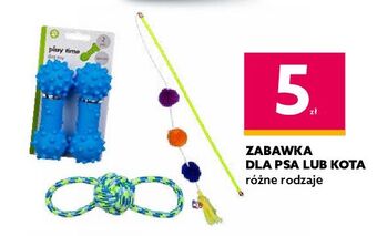 Dealz Zabawka dla kota oferta