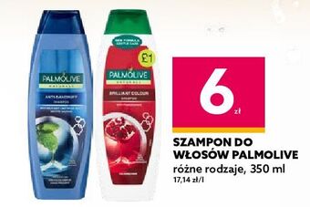 Dealz Szampon do włosów brilliant color palmolive naturals oferta