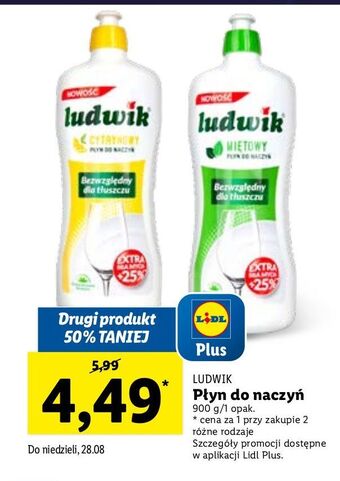 Lidl Płyn do mycia naczyń miętowy ludwik oferta