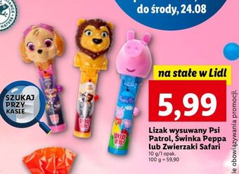 Lizak wysuwany zwierzaki safari bip candy & toys