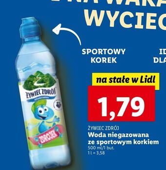 Lidl Woda niegazowana żywiec zdrój zdrojek oferta