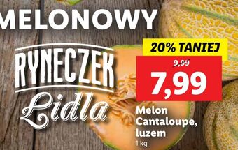 Lidl Melon cantaloupe oferta