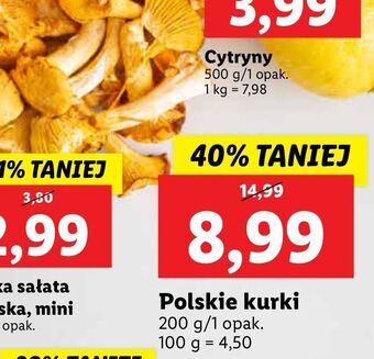 Lidl Kurki oferta