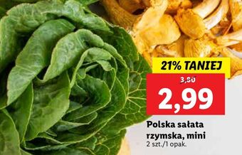 Lidl Sałatka rzymska mini oferta