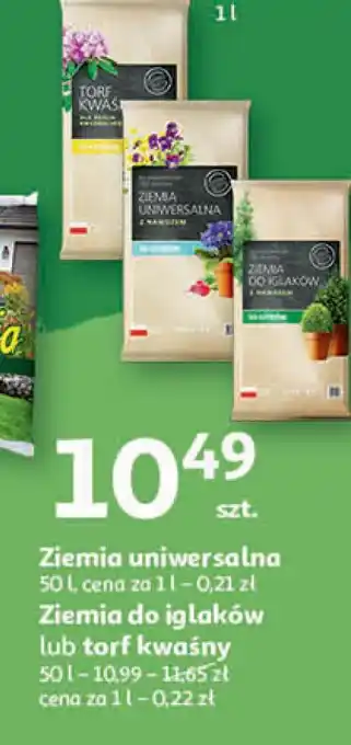 Auchan Ziemia do iglaków oferta