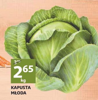 Kapusta młoda