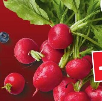 Kaufland Rzodkiewki oferta