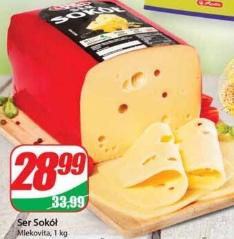 Dino Ser sokół mlekovita oferta