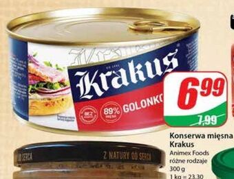 Dino Golonkowa krakus animex oferta
