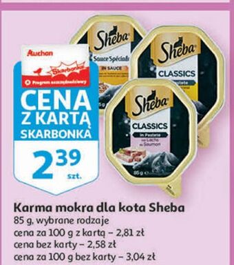 Auchan Karma dla kota pate z koktajlem drobiowym sheba classics oferta