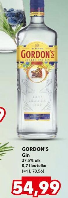 Gin gordon's london dry