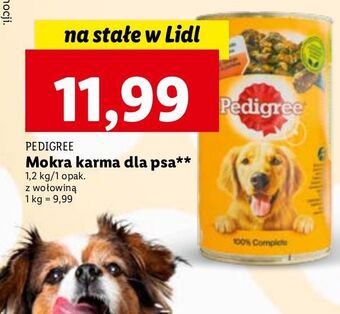 Lidl Karma dla psa wołowina pedigree oferta