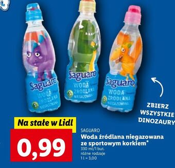 Lidl Woda niegazowana saguaro junior oferta