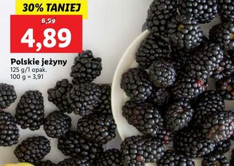 Lidl Jeżyny oferta