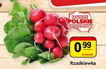 Gram Market Rzodkiewka pęczek oferta