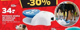 Netto Fontanna wodna dla zwierząt domowych oferta