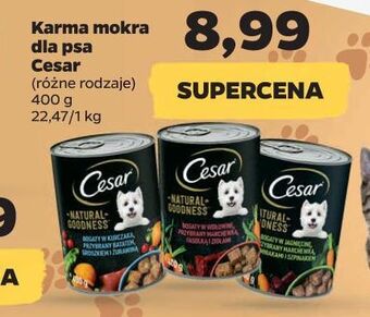 Netto Karma dla psa z wołowina cesar (karma) oferta