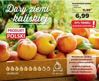 Netto Brzoskwinie harnaś oferta