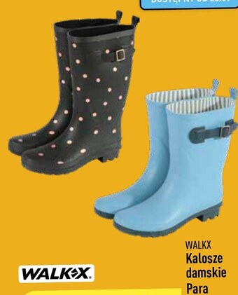 ALDI Kalosze walkx oferta