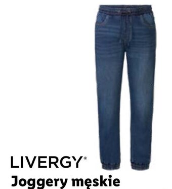 Lidl Joggery męskie livergy oferta