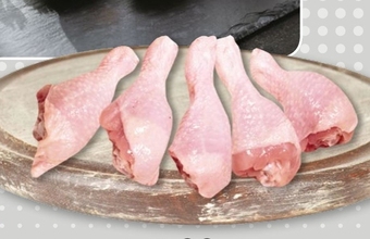 Selgros Podudzie z kurczaka oferta