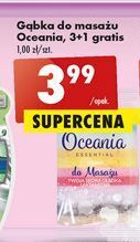 Biedronka Gąbka do masażu oceania essential oferta