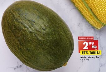 Biedronka Melon zielony oferta