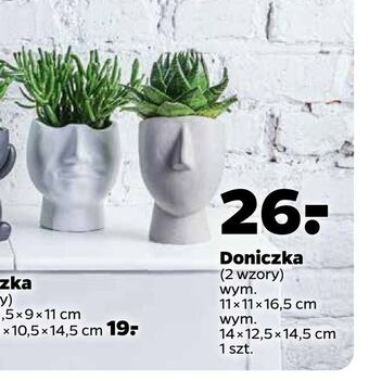 Netto Doniczka oferta