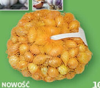 Auchan Cebula dymka oferta