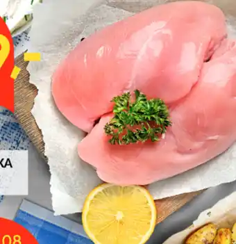 Market Jan Filet z kurczaka jan oferta