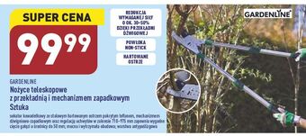 ALDI Nożyce teleskopowe do gałęzi garden line oferta