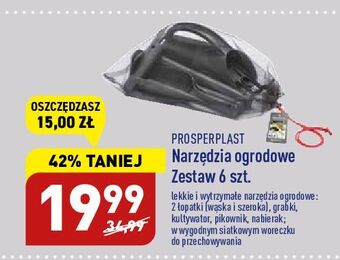 ALDI Narzędzia ogrodowe prosperplast oferta