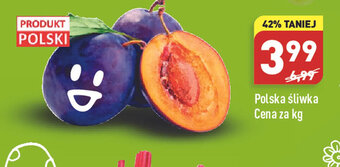 ALDI Polska śliwka 1 kg oferta