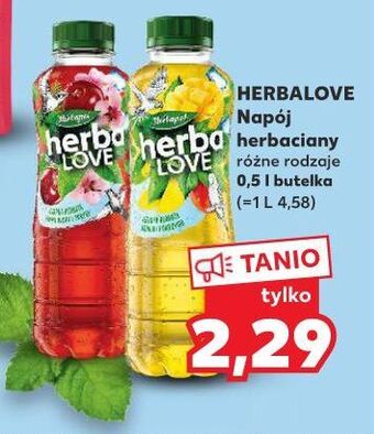 Kaufland Napój zielona herbata-mango-pokrzywa herbapol herbalove oferta