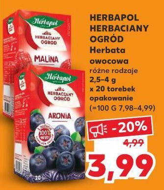 Kaufland Herbata aronia herbapol herbaciany ogród oferta