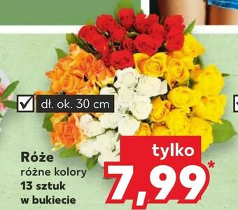 Kaufland Róże oferta
