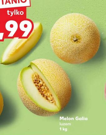 Kaufland Melon Galia oferta