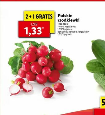 Lidl Polskie rzodkiewki oferta