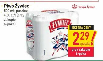 Stokrotka Piwo Żywiec oferta