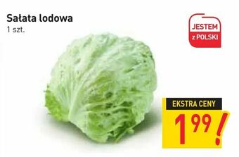 Stokrotka Sałata lodowa oferta