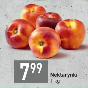 Stokrotka Nektarynki oferta