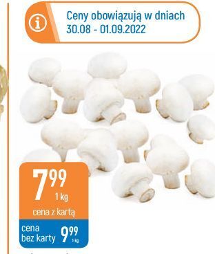 E.Leclerc Pieczarki oferta