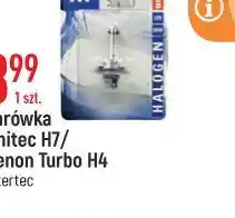 E.Leclerc Żarówki xenon h4 intertec oferta